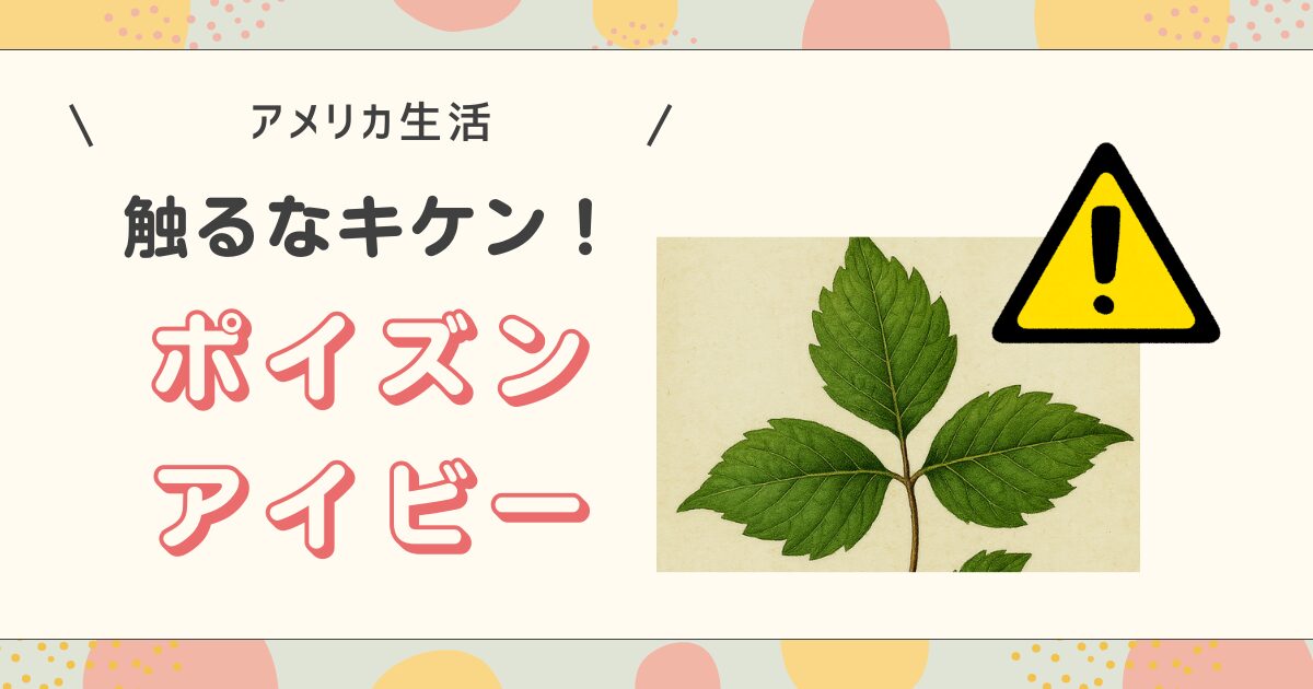 ポイズンアイビーのアイキャッチ
