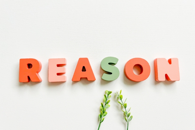 reasonのカラフルなブロックと葉