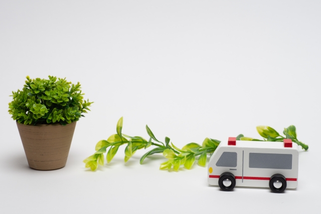 救急車のおもちゃと草