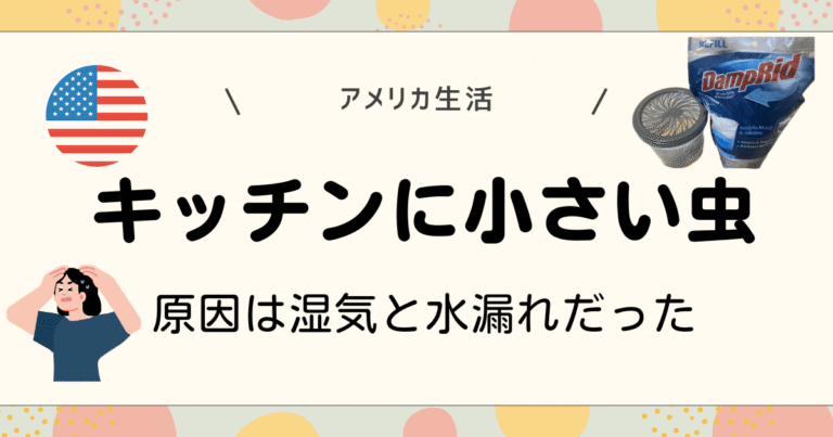 キッチンに小さい虫